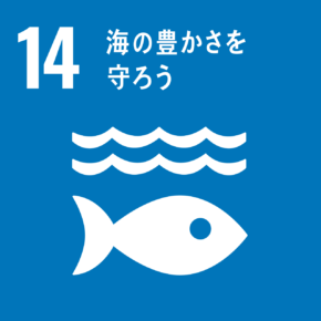 SDGs Goal 14: 海の豊かさを守ろう